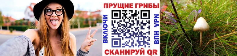 сколько стоит  Лениногорск  ОМГ ОМГ зеркало  Псилоцибиновые грибы Psilocybe 